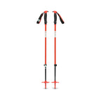 Traverse Ski Poles - Past Season