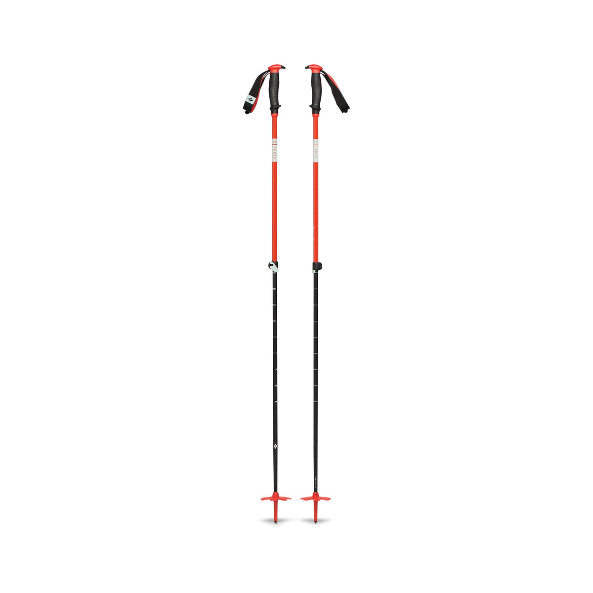 Traverse Ski Poles - Past Season