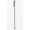 Stockli WRT RACE Carbon Vario | Adjustable Poles | 2024